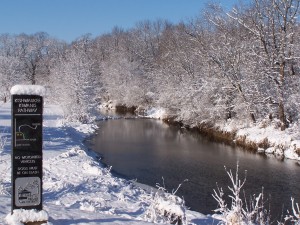 Bike Pathway in Winter Crystals